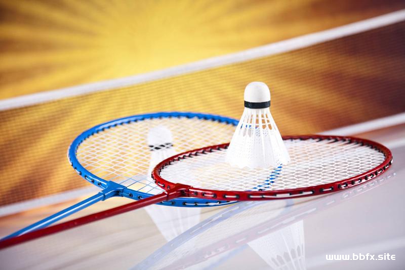 羽毛球入门与基础，羽毛球提高与实战