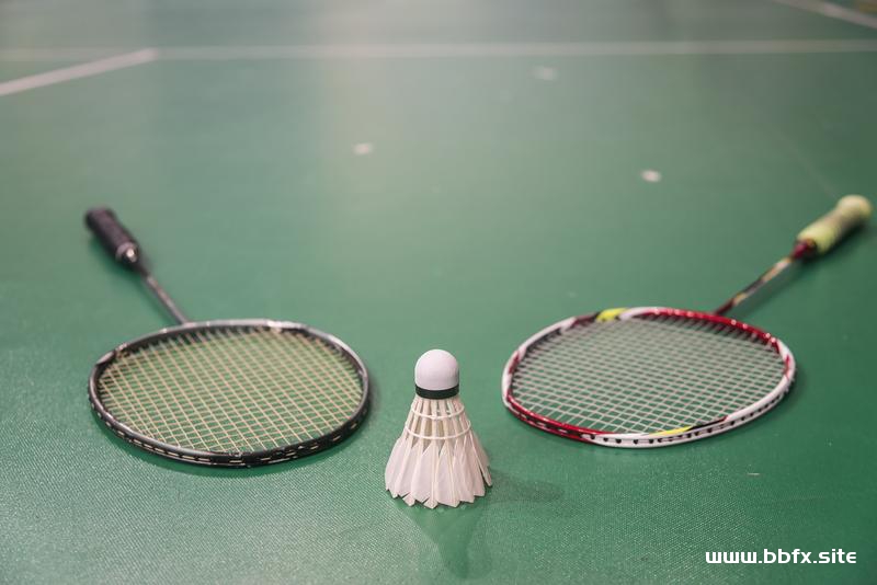 羽毛球技术从基础到高手，世界冠军教你打羽毛球